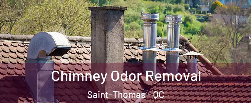  Chimney Odor Removal Saint-Thomas - QC