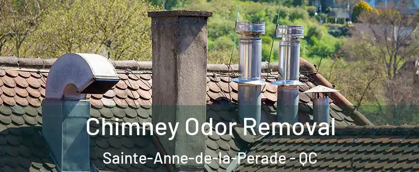 Chimney Odor Removal Sainte-Anne-de-la-Perade - QC