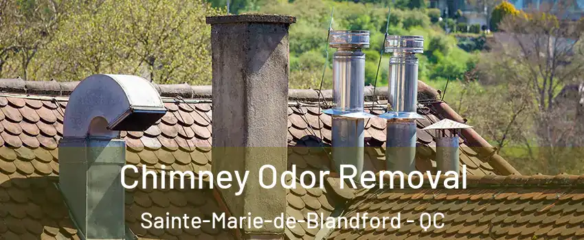  Chimney Odor Removal Sainte-Marie-de-Blandford - QC