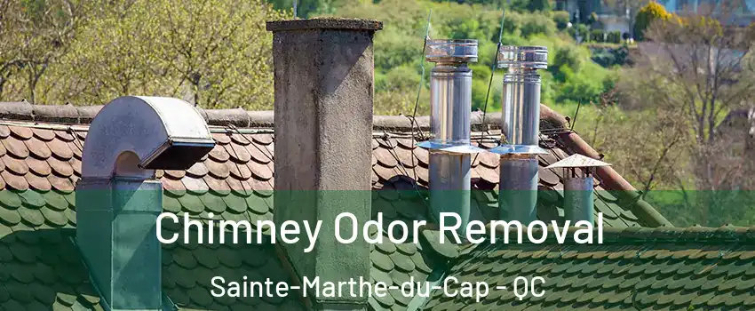  Chimney Odor Removal Sainte-Marthe-du-Cap - QC