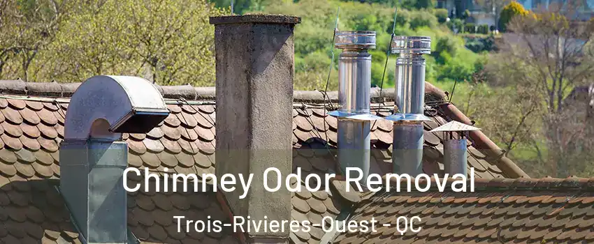  Chimney Odor Removal Trois-Rivieres-Ouest - QC