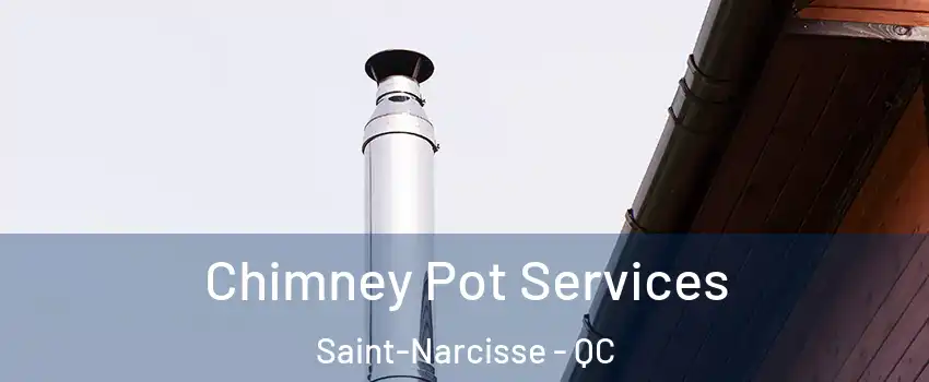  Chimney Pot Services Saint-Narcisse - QC