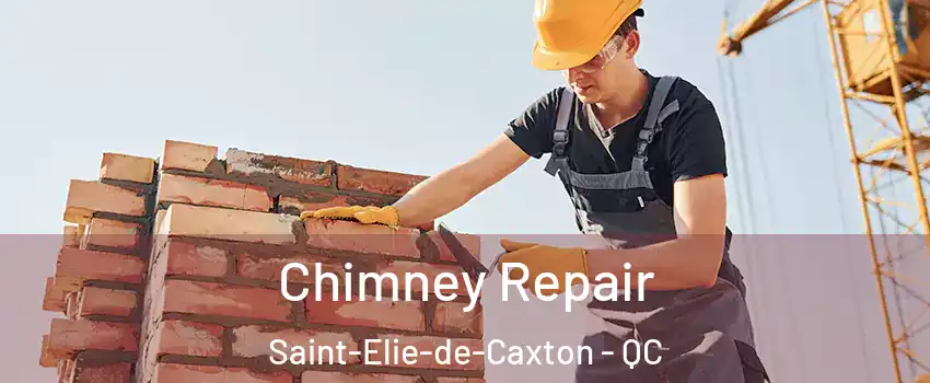  Chimney Repair Saint-Elie-de-Caxton - QC