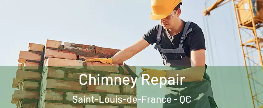  Chimney Repair Saint-Louis-de-France - QC