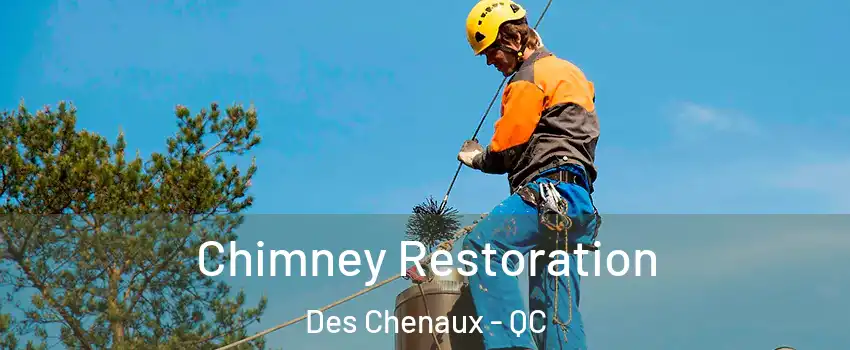  Chimney Restoration Des Chenaux - QC