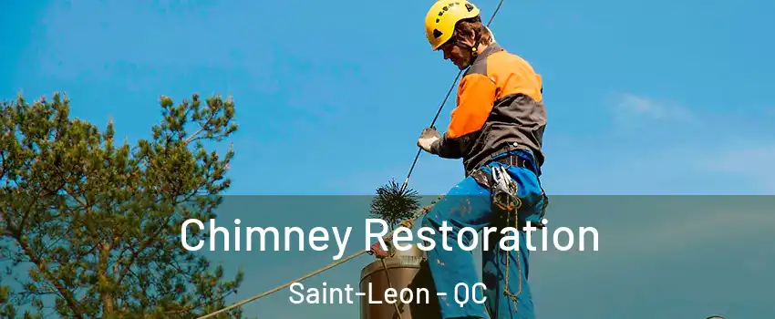  Chimney Restoration Saint-Leon - QC