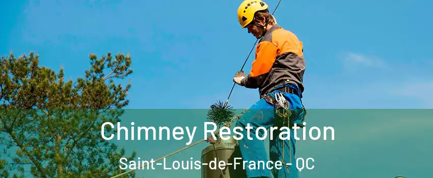  Chimney Restoration Saint-Louis-de-France - QC