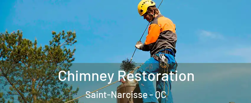  Chimney Restoration Saint-Narcisse - QC