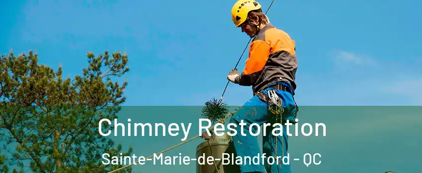  Chimney Restoration Sainte-Marie-de-Blandford - QC