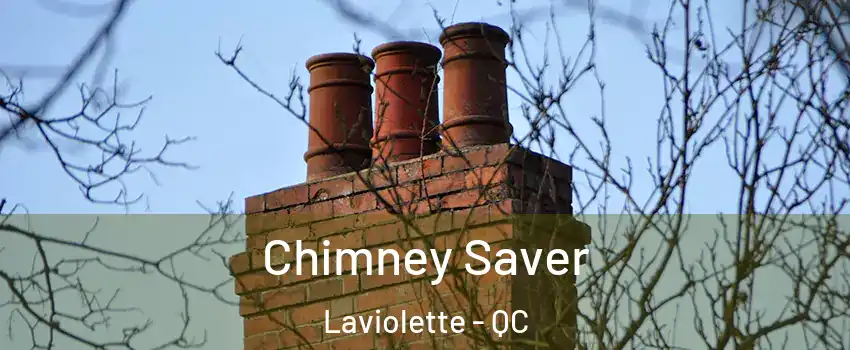  Chimney Saver Laviolette - QC