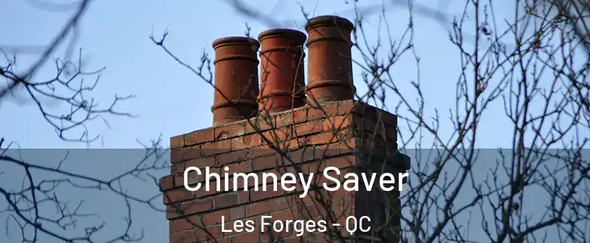  Chimney Saver Les Forges - QC