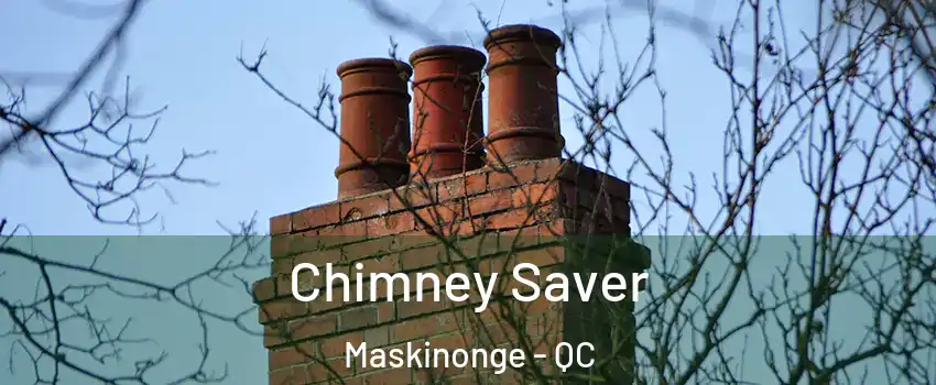 Chimney Saver Maskinonge - QC