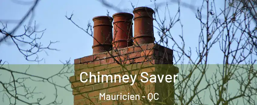  Chimney Saver Mauricien - QC