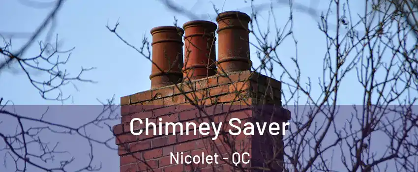  Chimney Saver Nicolet - QC