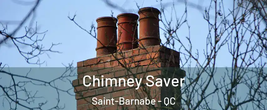  Chimney Saver Saint-Barnabe - QC
