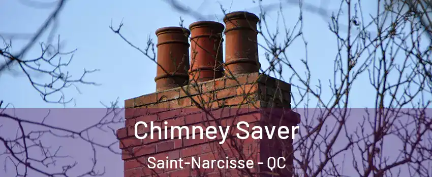  Chimney Saver Saint-Narcisse - QC