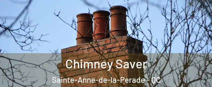  Chimney Saver Sainte-Anne-de-la-Perade - QC