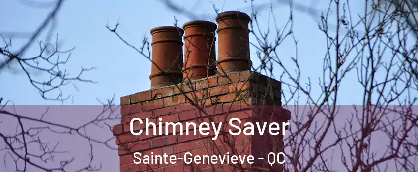  Chimney Saver Sainte-Genevieve - QC
