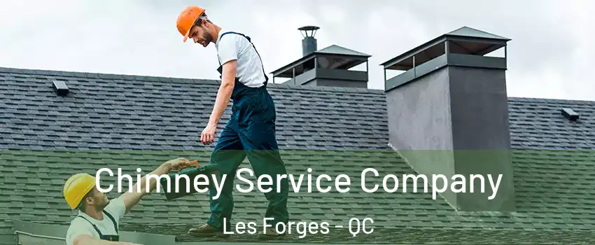  Chimney Service Company Les Forges - QC