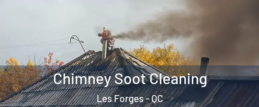  Chimney Soot Cleaning Les Forges - QC