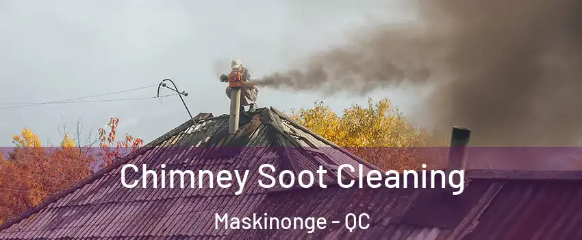  Chimney Soot Cleaning Maskinonge - QC