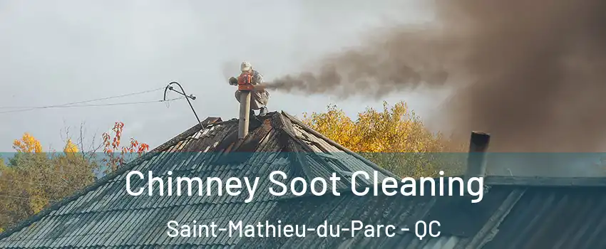  Chimney Soot Cleaning Saint-Mathieu-du-Parc - QC