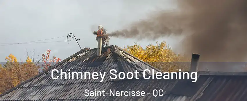  Chimney Soot Cleaning Saint-Narcisse - QC