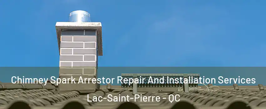  Chimney Spark Arrestor Repair And Installation Services Lac-Saint-Pierre - QC