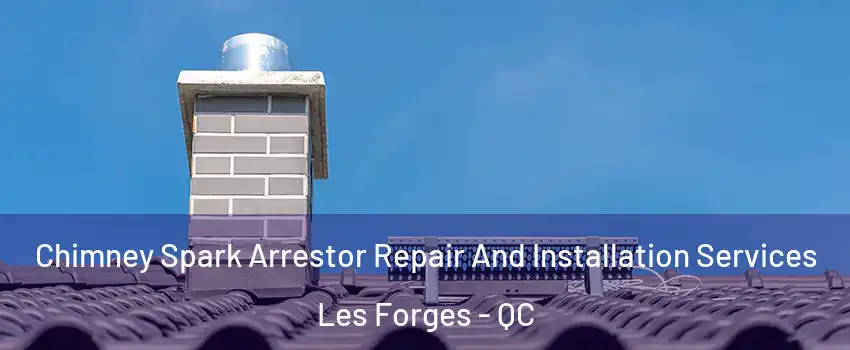  Chimney Spark Arrestor Repair And Installation Services Les Forges - QC