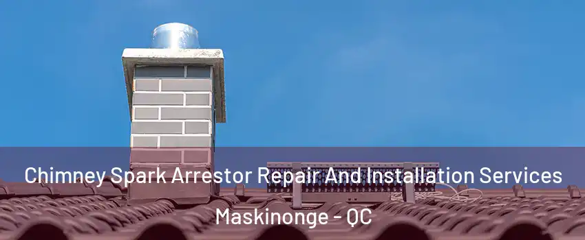  Chimney Spark Arrestor Repair And Installation Services Maskinonge - QC