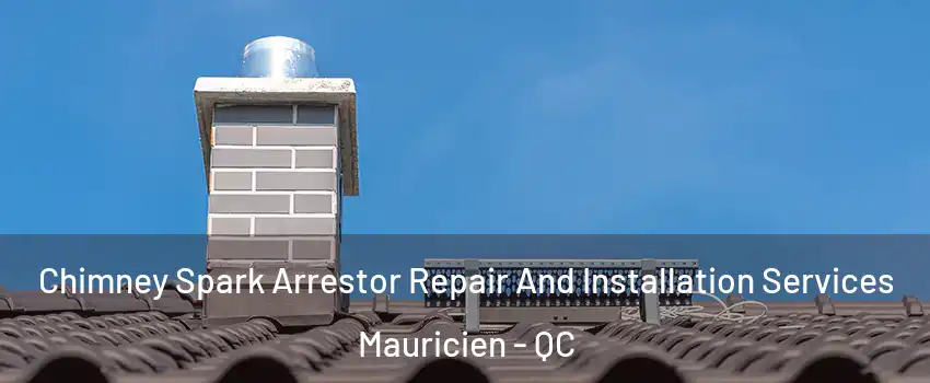  Chimney Spark Arrestor Repair And Installation Services Mauricien - QC