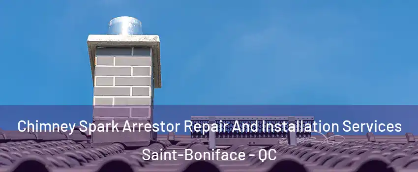  Chimney Spark Arrestor Repair And Installation Services Saint-Boniface - QC