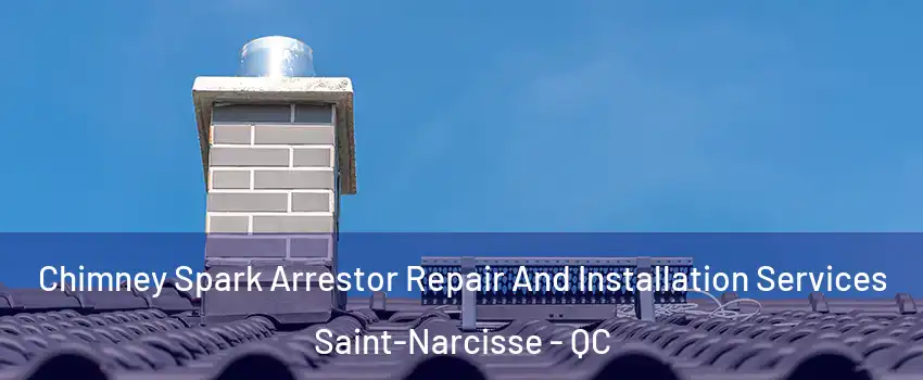  Chimney Spark Arrestor Repair And Installation Services Saint-Narcisse - QC