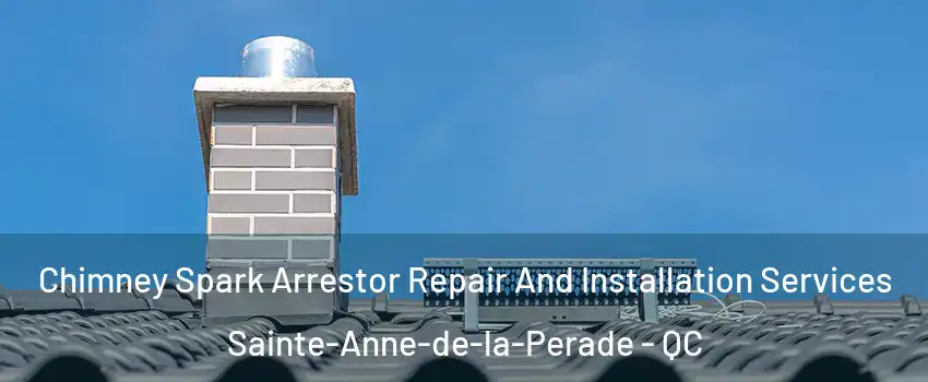  Chimney Spark Arrestor Repair And Installation Services Sainte-Anne-de-la-Perade - QC