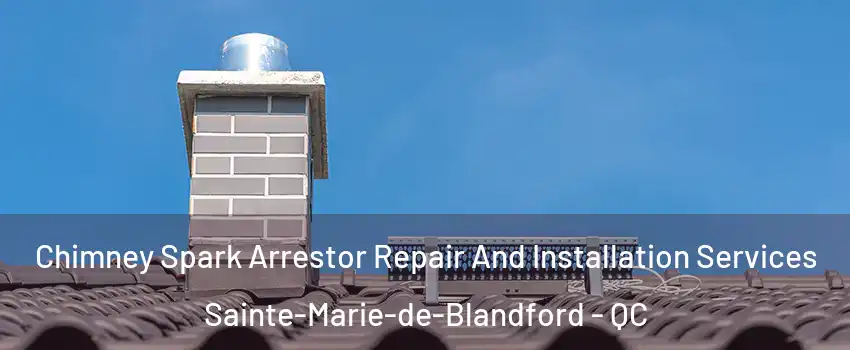  Chimney Spark Arrestor Repair And Installation Services Sainte-Marie-de-Blandford - QC