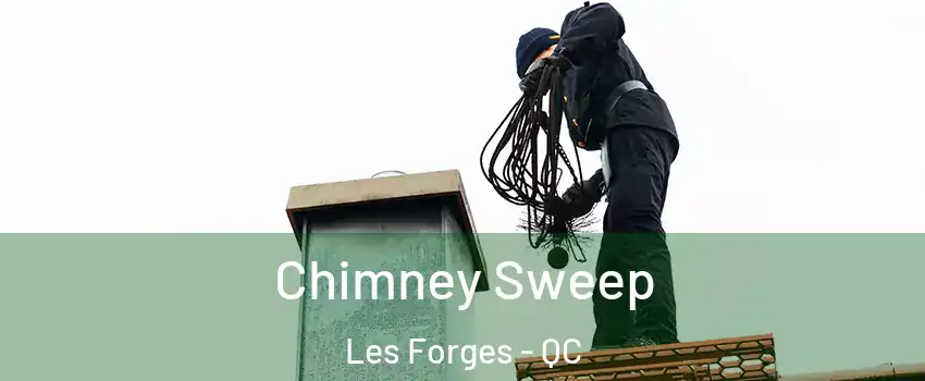  Chimney Sweep Les Forges - QC