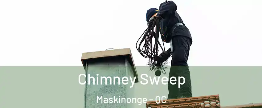  Chimney Sweep Maskinonge - QC