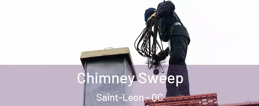 Chimney Sweep Saint-Leon - QC