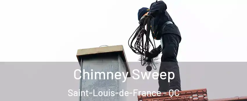  Chimney Sweep Saint-Louis-de-France - QC