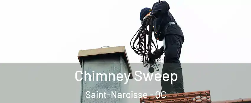 Chimney Sweep Saint-Narcisse - QC