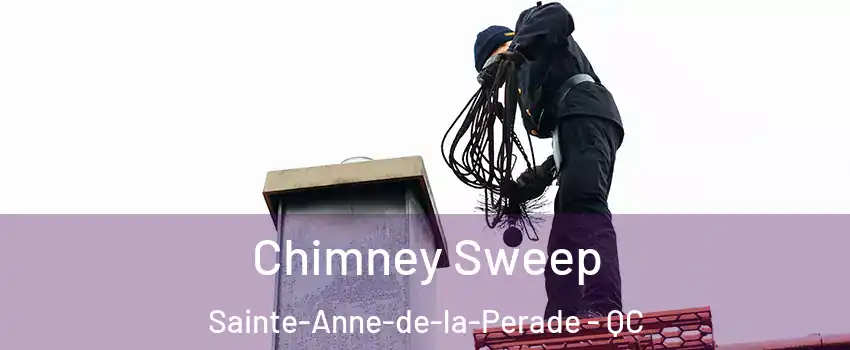  Chimney Sweep Sainte-Anne-de-la-Perade - QC