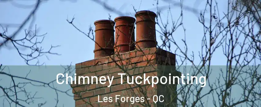  Chimney Tuckpointing Les Forges - QC