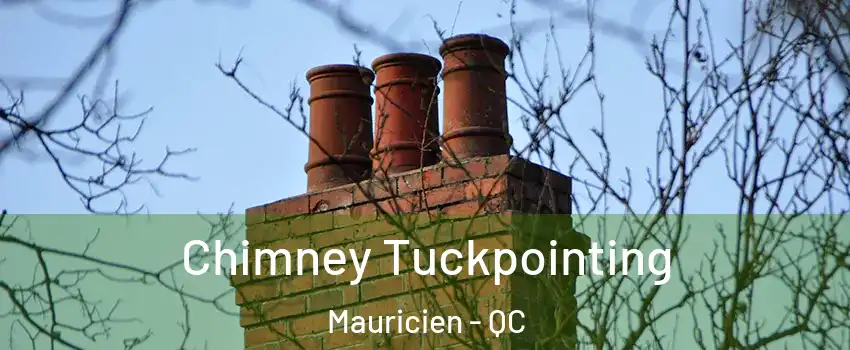  Chimney Tuckpointing Mauricien - QC
