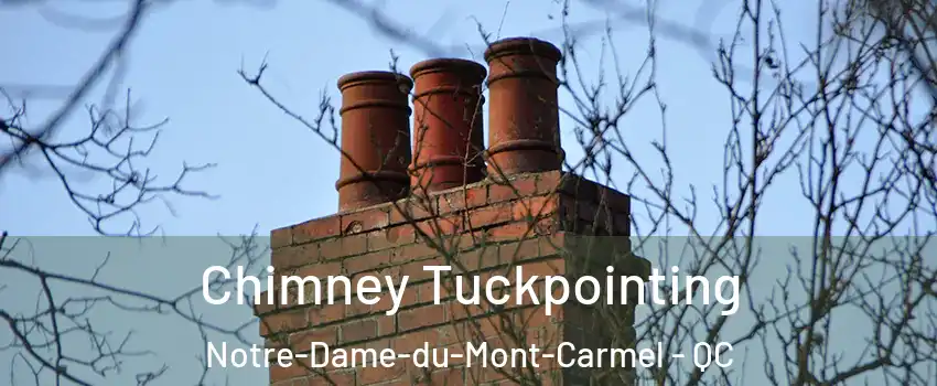  Chimney Tuckpointing Notre-Dame-du-Mont-Carmel - QC