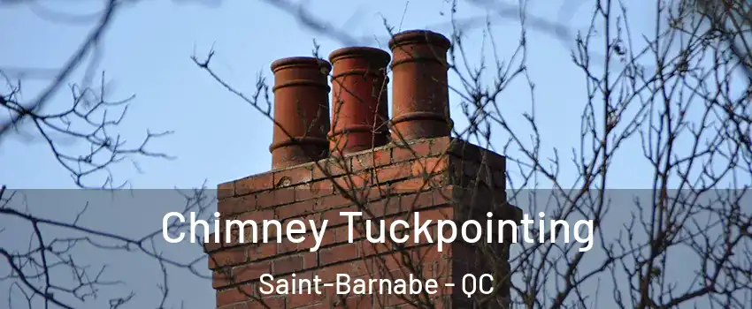  Chimney Tuckpointing Saint-Barnabe - QC