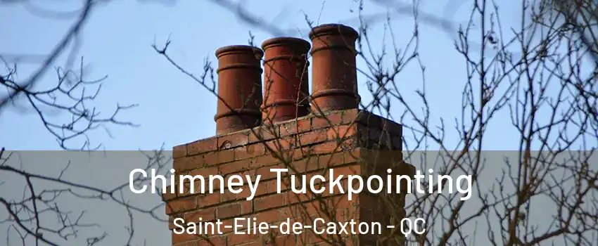  Chimney Tuckpointing Saint-Elie-de-Caxton - QC