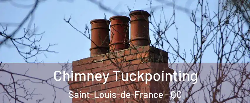  Chimney Tuckpointing Saint-Louis-de-France - QC