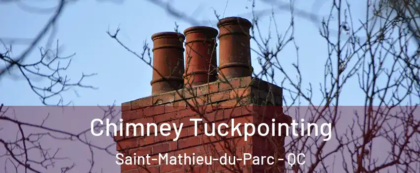  Chimney Tuckpointing Saint-Mathieu-du-Parc - QC