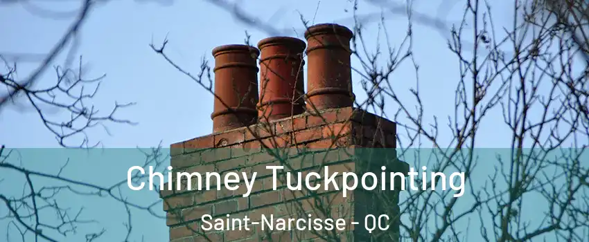  Chimney Tuckpointing Saint-Narcisse - QC