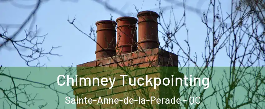  Chimney Tuckpointing Sainte-Anne-de-la-Perade - QC
